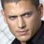 Wentworth Miller icon 64x64