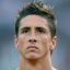 Fernando Torres icon 64x64