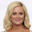 Amy Poehler icon 64x64