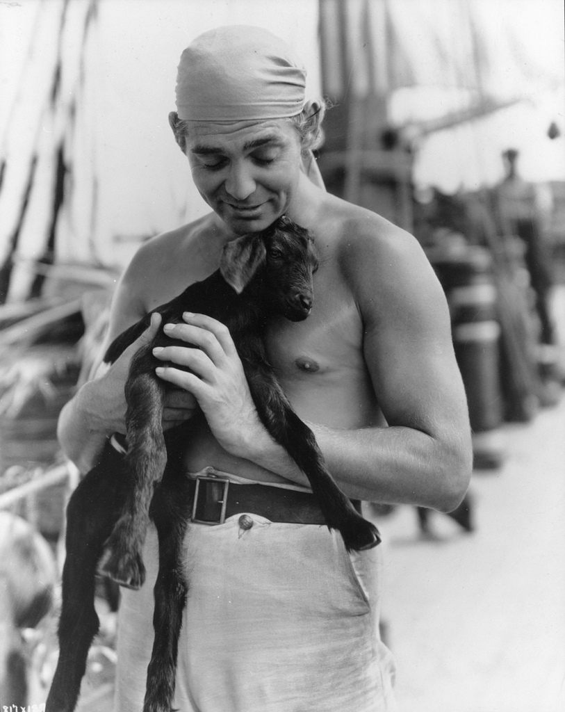   (Clark Gable)