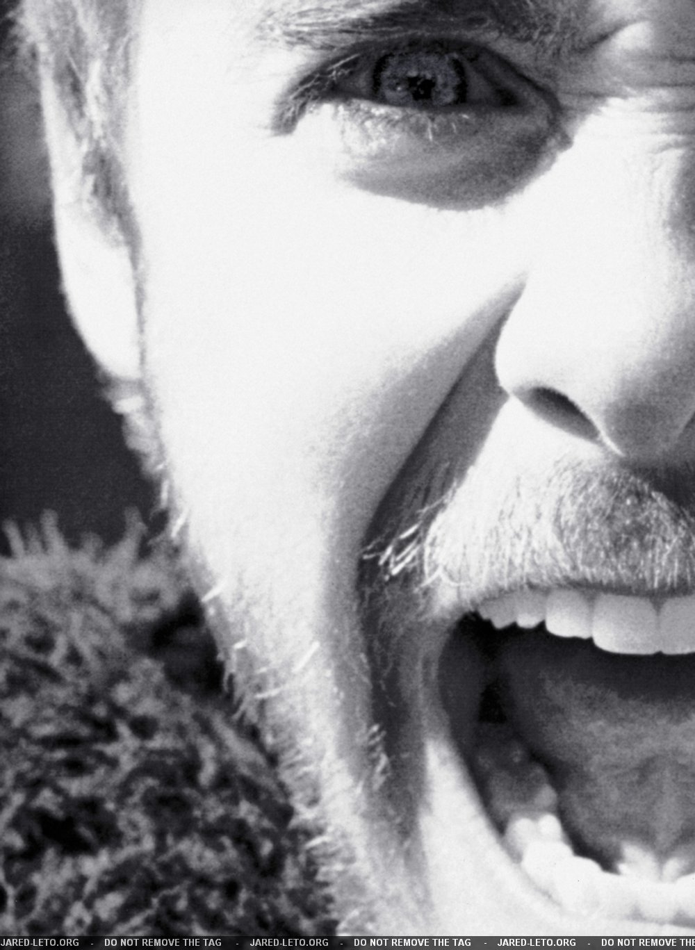   (Jared Leto)