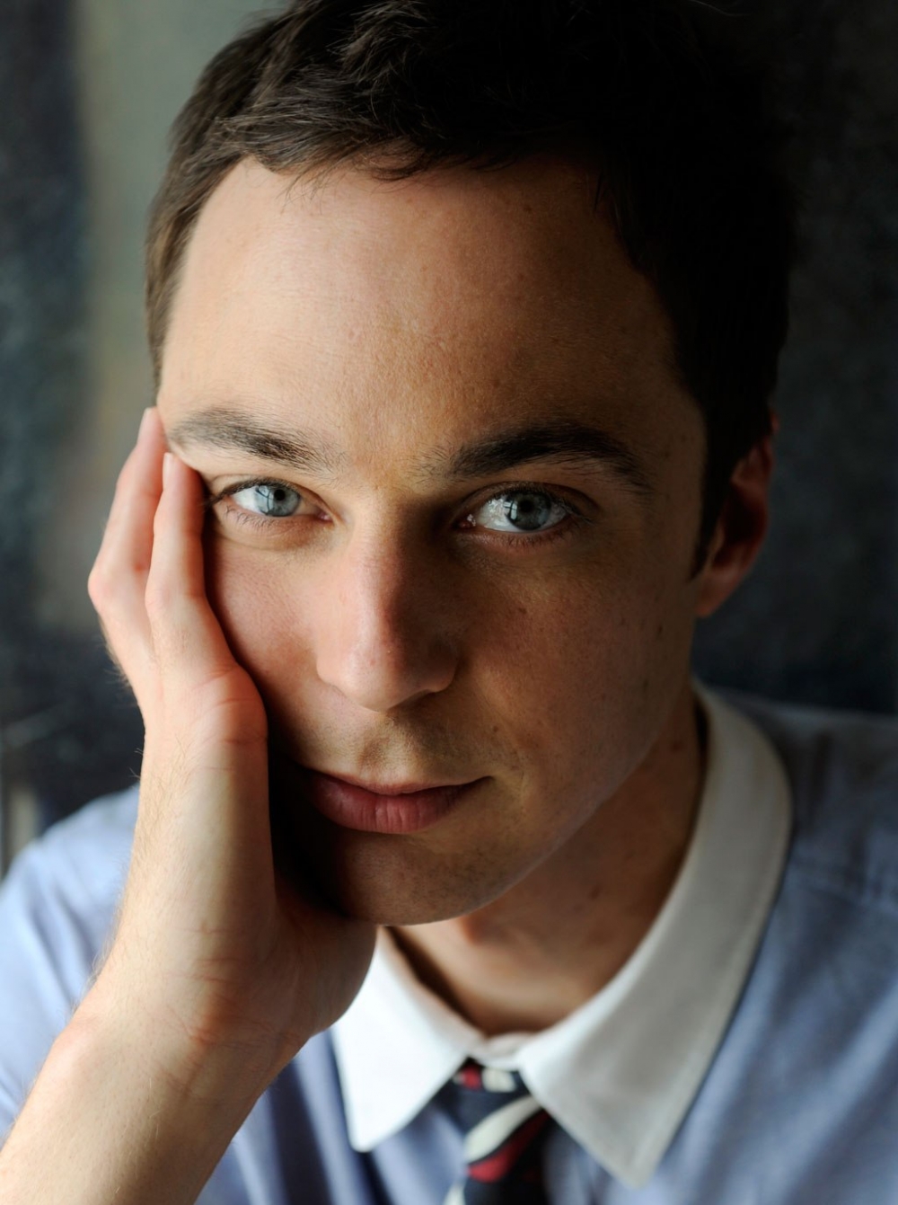      (Johnny Galecki),  (Jim Parsons) .   LiveInternet -  