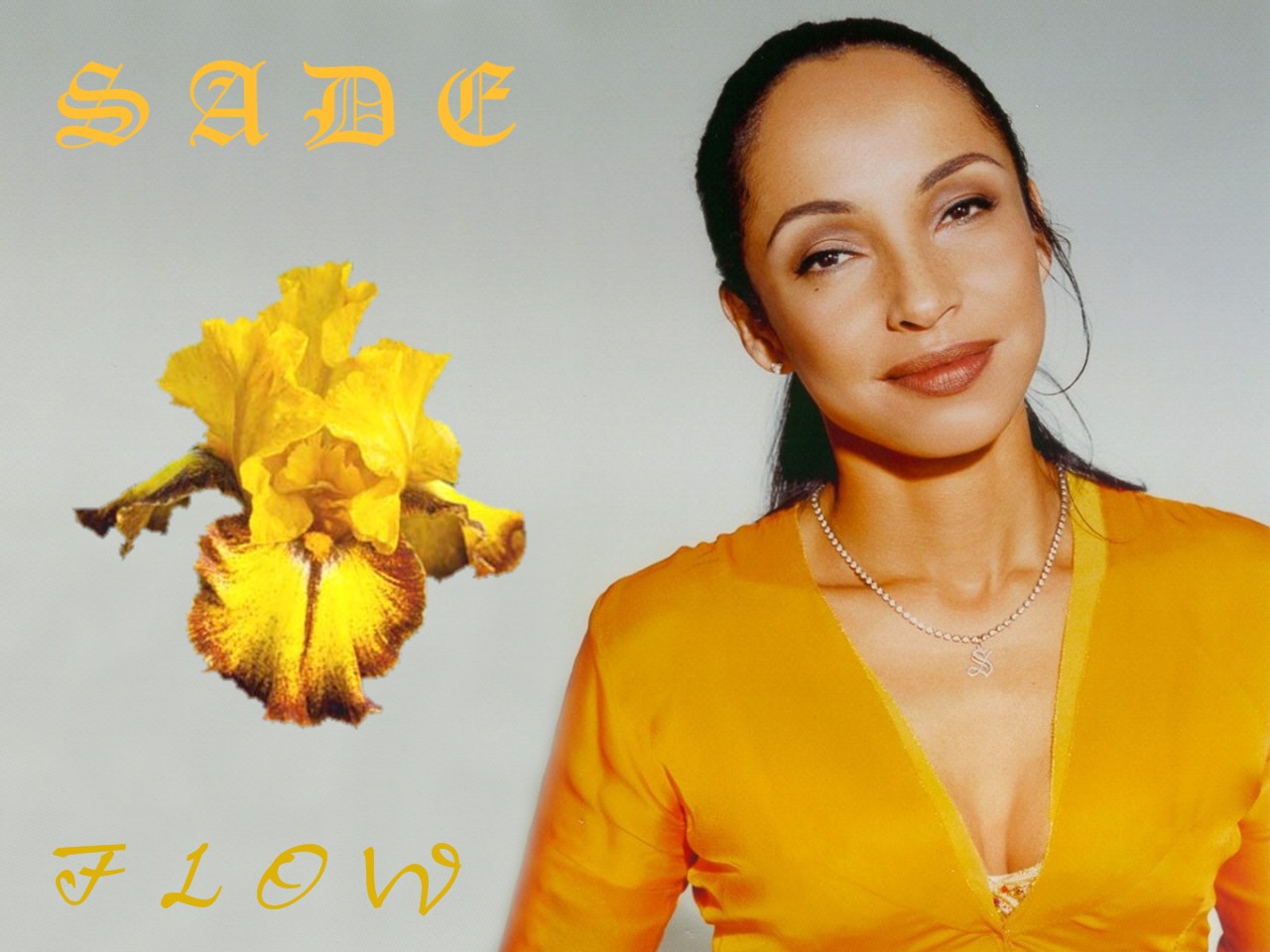 фото Sade
