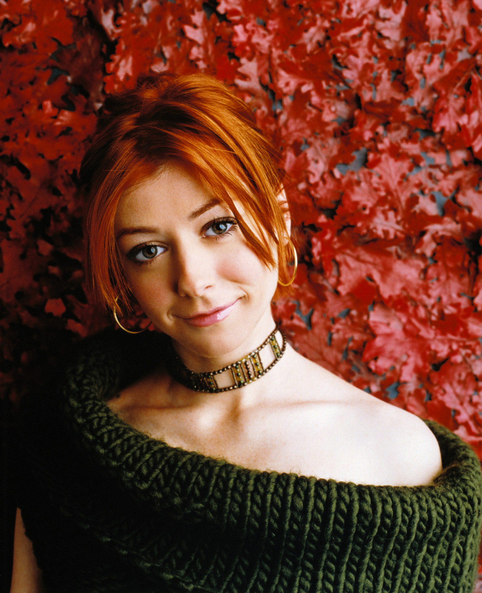 Элисон Ханниган (Alyson Hannigan)