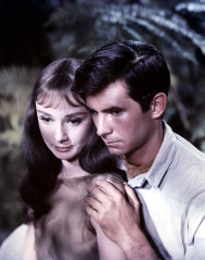 Anthony Perkins фото №355252