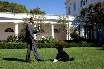 Barack Obama фото №638865