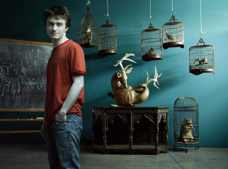 Daniel Radcliffe фото №41458