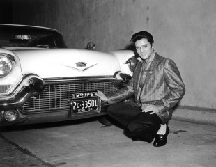 Elvis Presley фото №390682