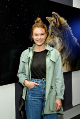 Holland Roden фото №1108664