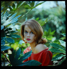 Jane Fonda фото №138724