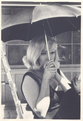 Marilyn Monroe фото №485761