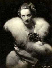 Marlene Dietrich фото №395279