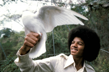Michael Jackson фото №603756