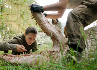 Natalie Portman – “Annihilation” Photos фото №1042891