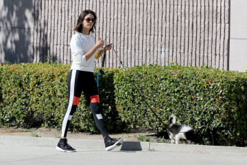 Nina Dobrev in Spandex – Takes Her New Puppy For a Walk in West Hollywood  фото №960078