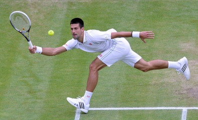 Novak Djokovic фото №532515