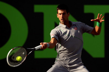 Novak Djokovic фото №716991
