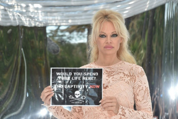Pamela Anderson фото №886991