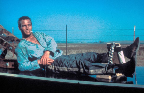 Paul Newman фото №252241