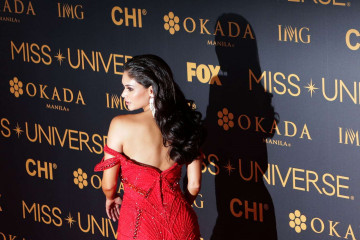 Pia Wurtzbach – Miss Universe Red Carpet Presentation in Philippines фото №937193