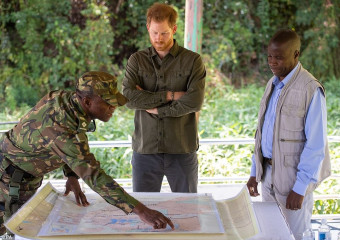 Prince Harry of Wales фото №1222242