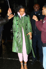 Rihanna in Green Python Jacket out in New York фото №933123