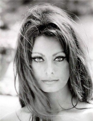 Sophia Loren фото №396529