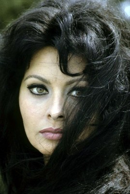 Sophia Loren фото №380431