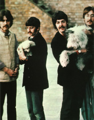 The Beatles фото №619849