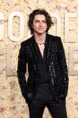 Timothée Chalamet - 81st Annual Golden Globe Awards in Beverly Hills 01/07/2024 фото №1384832