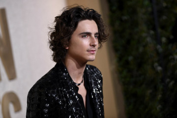 Timothée Chalamet - 81st Annual Golden Globe Awards in Beverly Hills 01/07/2024 фото №1391050