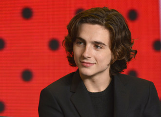 Timothée Chalamet - 'Call Me by Your Name' TIFF Press Conference 09/08/2017 фото №1354319
