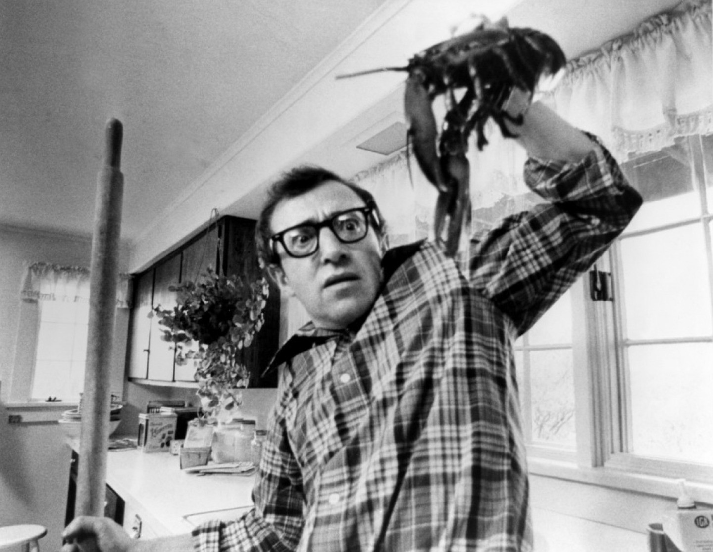 Вуди Аллен (Woody Allen)