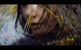 Бьорк выпустила клип на песню Lionsong