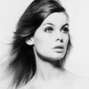 Jean Shrimpton icon