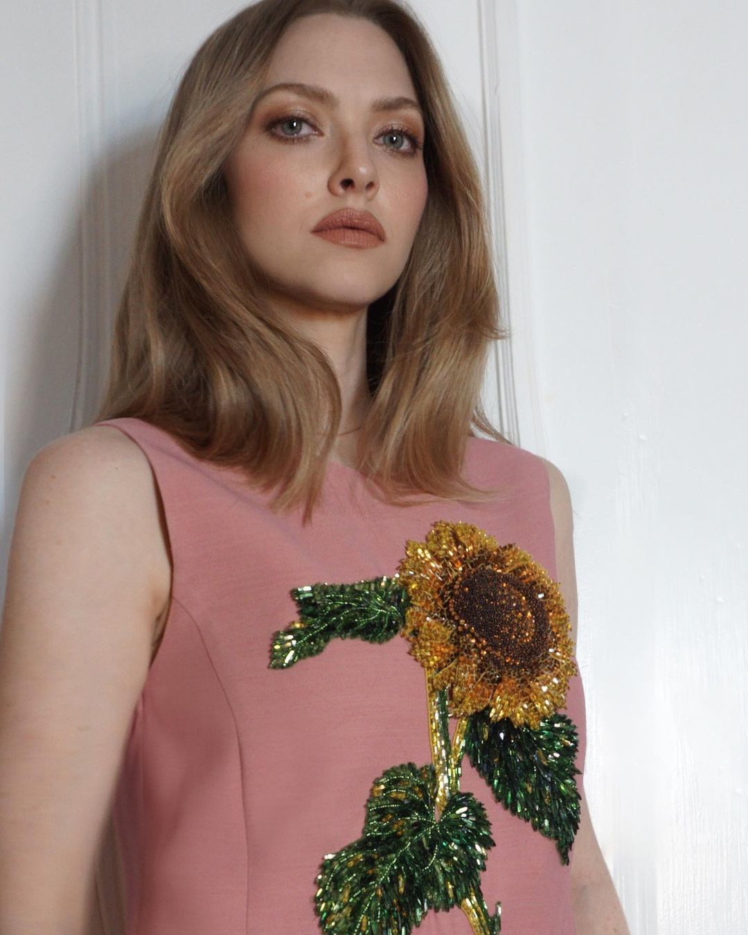 Аманда Сейфрид - Amanda Seyfried фото №1291840 - Amanda Seyfried