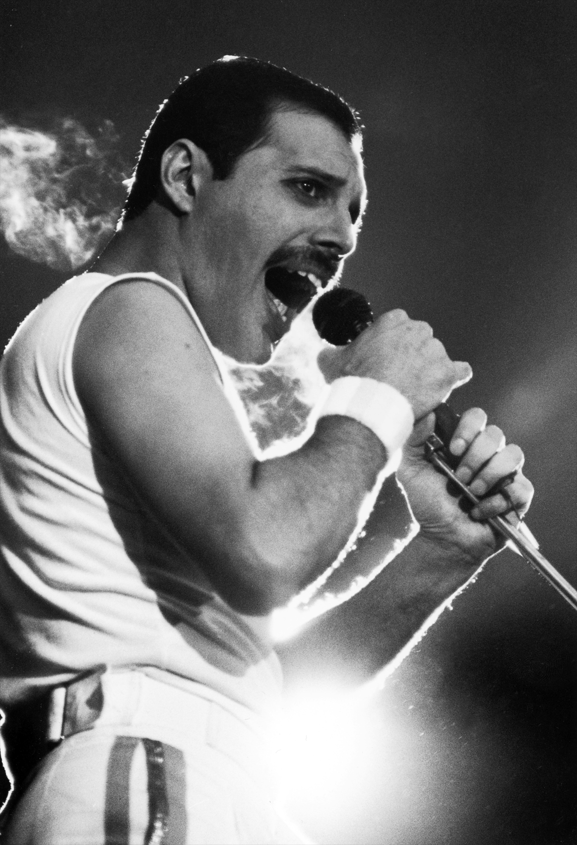 Фредди Меркьюри - Freddie Mercury фото №713940
