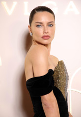 Adriana Lima фото №1412703