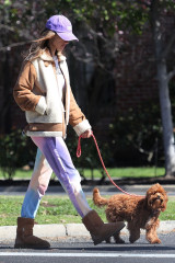 ALESSANDRA AMBROSIO and Nicolo Oddi Out with Their Dogs in Santa Monica 03/17/20 фото №1251517