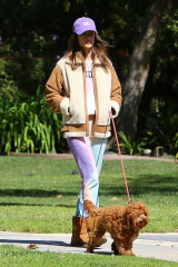 ALESSANDRA AMBROSIO and Nicolo Oddi Out with Their Dogs in Santa Monica 03/17/20 фото №1251516