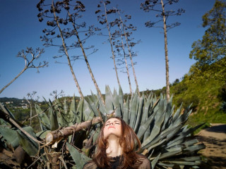 Alexandra Daddario – Photoshoot March 2019 (more pics) фото №1159289