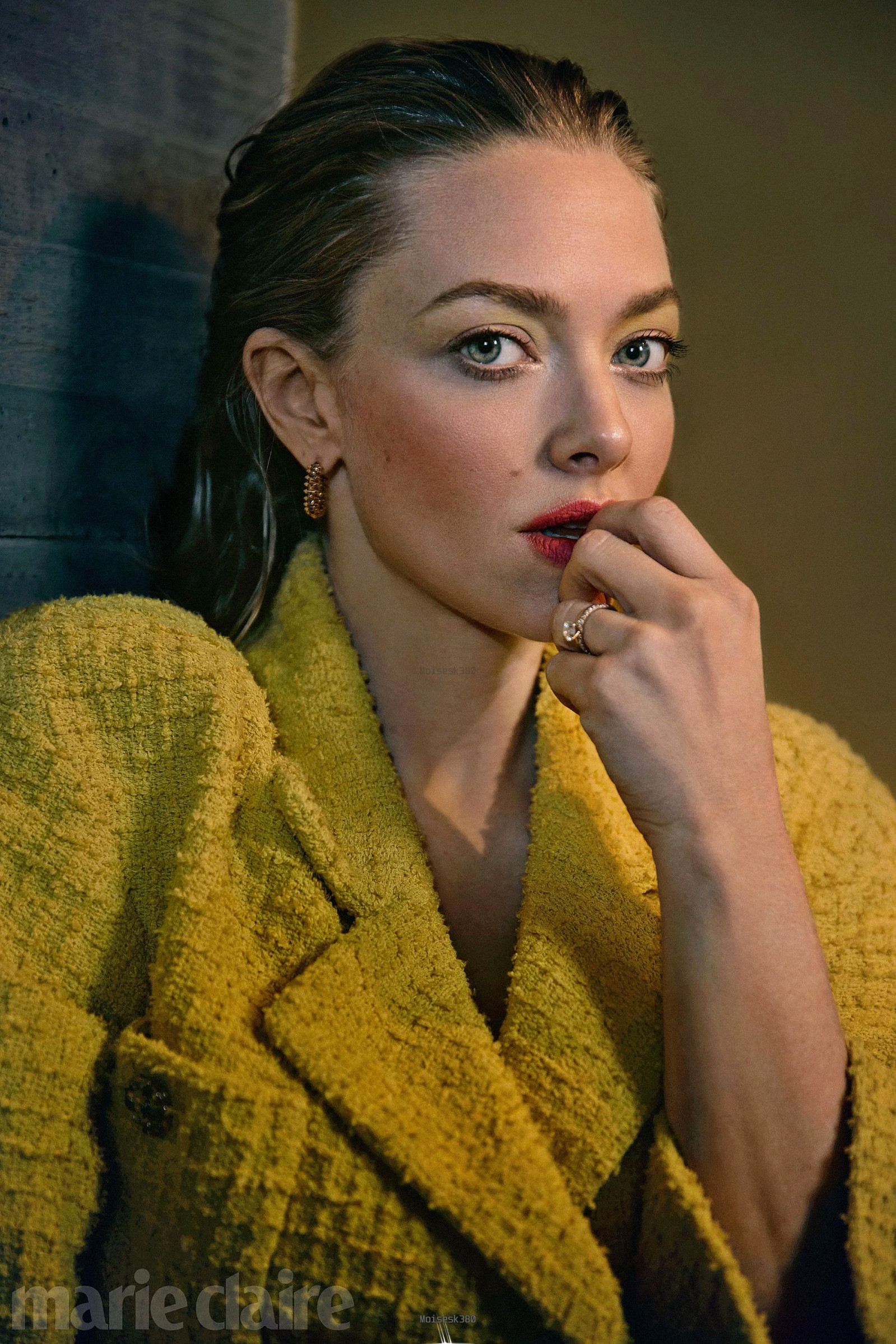 Аманда Сейфрид (Amanda Seyfried)