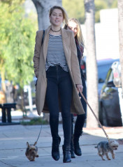 Amber Heard with her dogs out in Los Feliz фото №936083