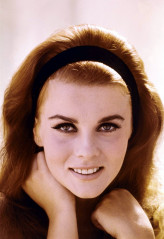 Ann-Margret фото №256001