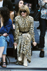 Anna Wintour фото №1181736