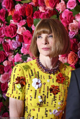 Anna Wintour фото №1077265