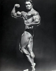 Arnold Schwarzenegger фото №283773