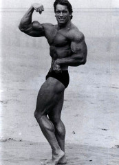 Arnold Schwarzenegger фото №289341