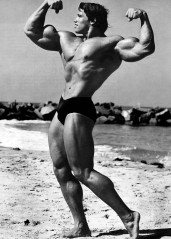 Arnold Schwarzenegger фото №286149