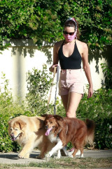 AUBREY PLAZA Walks Her Dogs Out in Los Feliz 06/10/2020 фото №1260173
